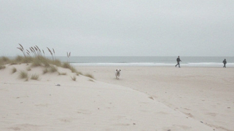 Jakie są charakterystyki plaży niestrzeżonej w Kołobrzegu?