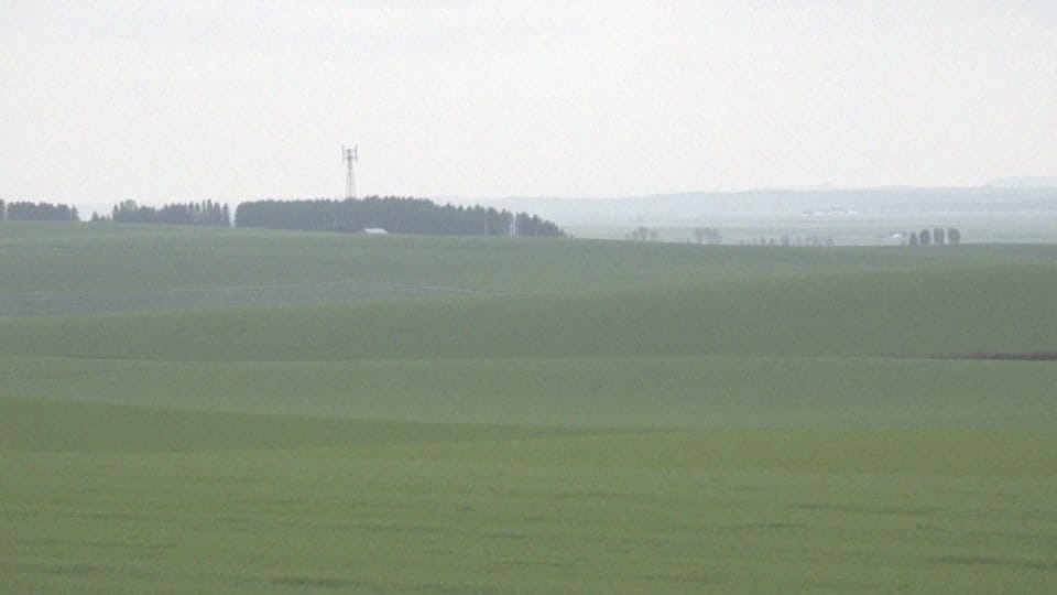 Jak niższe częstotliwości LTE wpływają na zasięg?