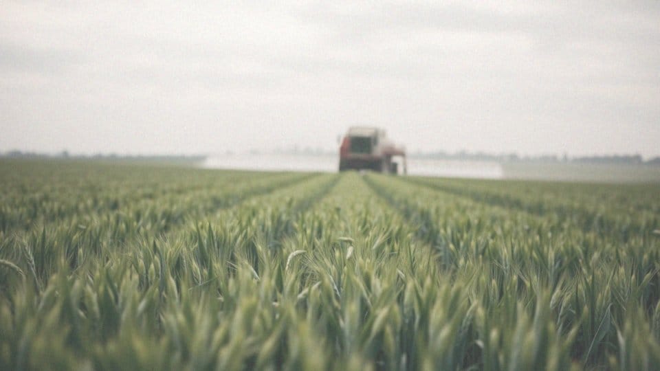 Jaką dawkę Huzar oprysku należy stosować na hektar?
