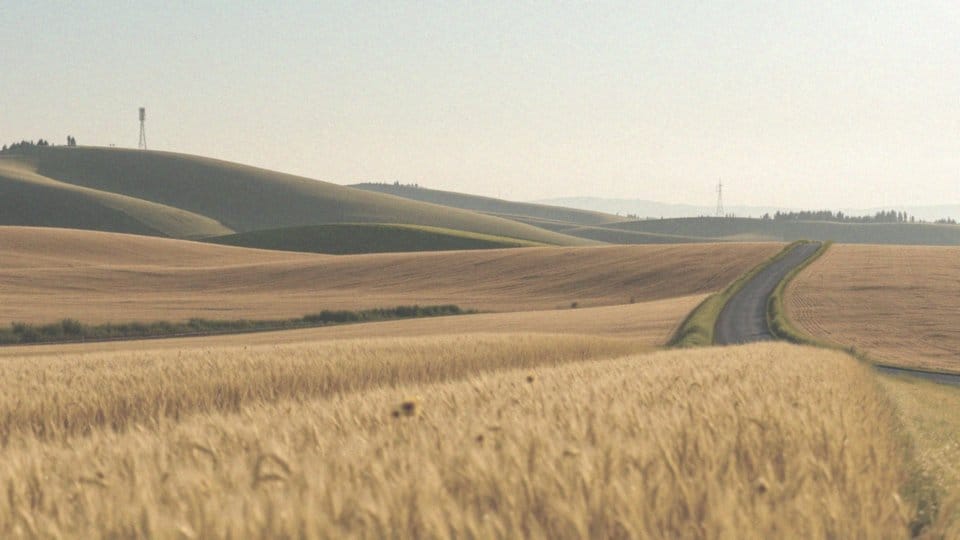 LTE czy 3G – różnice i korzyści dla użytkowników